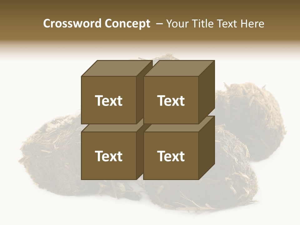 Safe Pack Architecture PowerPoint Template