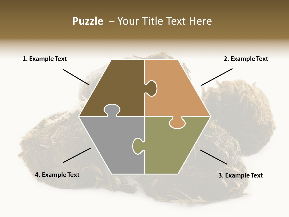 Safe Pack Architecture PowerPoint Template