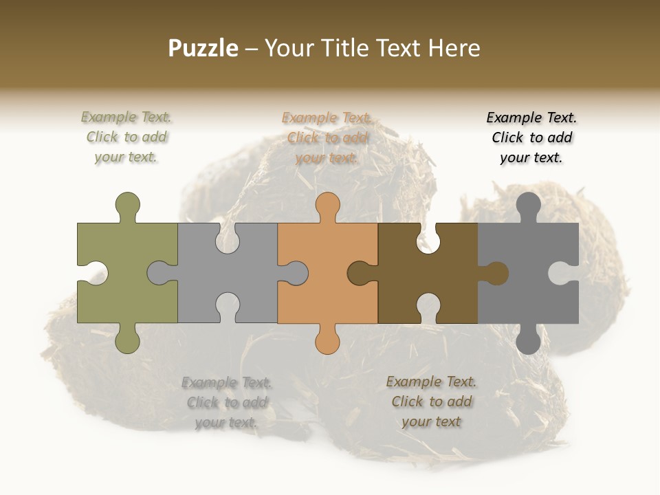 Safe Pack Architecture PowerPoint Template