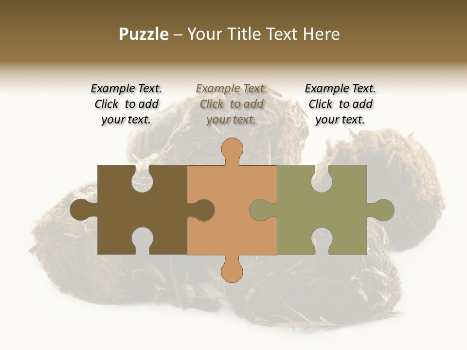 Safe Pack Architecture PowerPoint Template