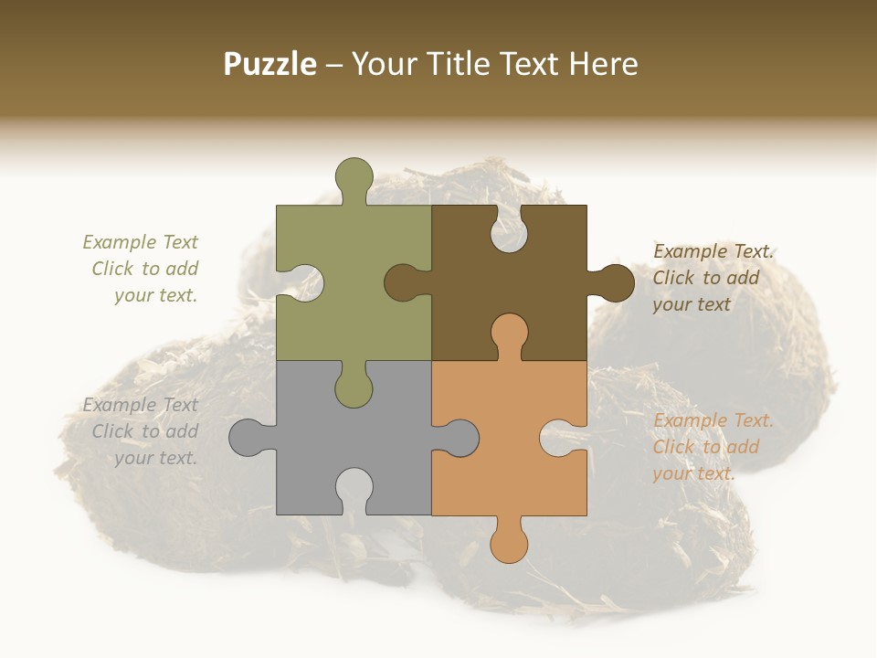 Safe Pack Architecture PowerPoint Template