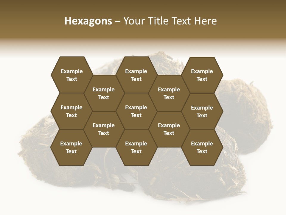 Safe Pack Architecture PowerPoint Template