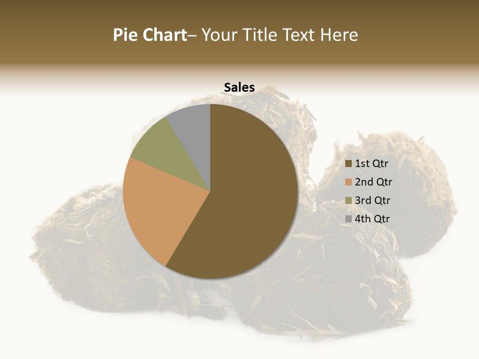 Safe Pack Architecture PowerPoint Template