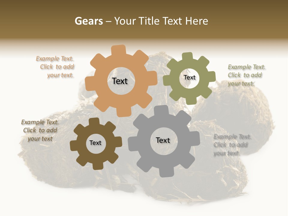 Safe Pack Architecture PowerPoint Template