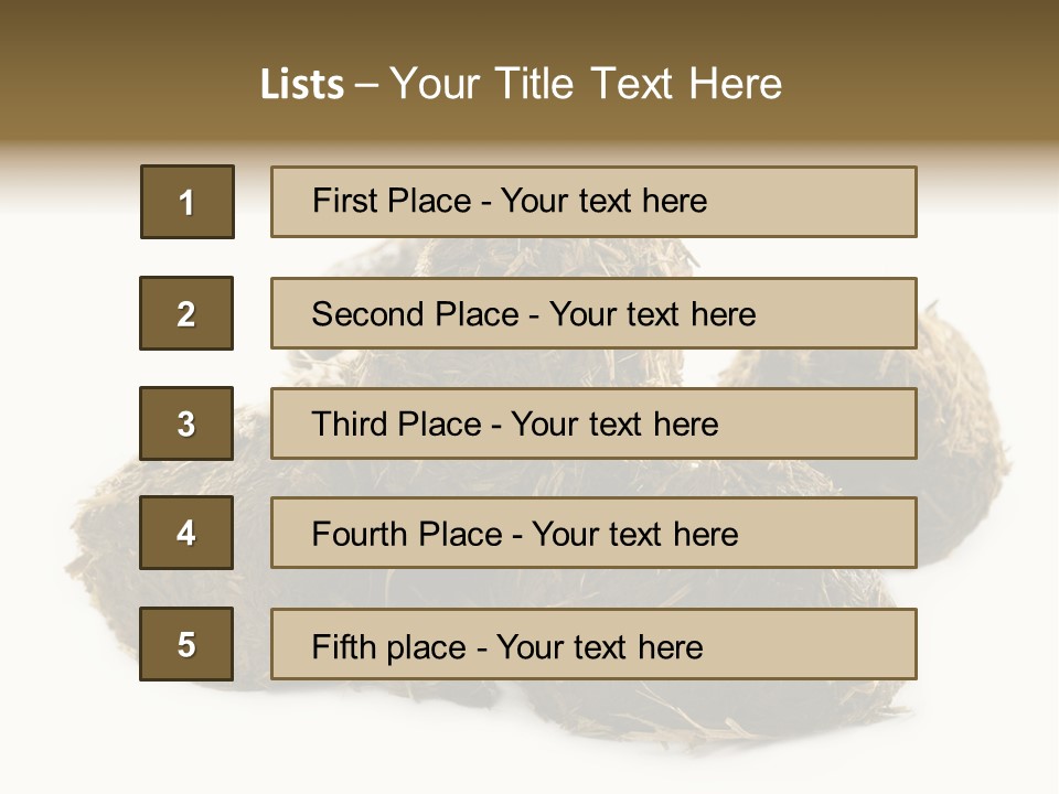 Safe Pack Architecture PowerPoint Template