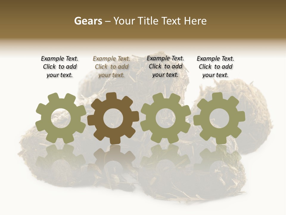 Safe Pack Architecture PowerPoint Template