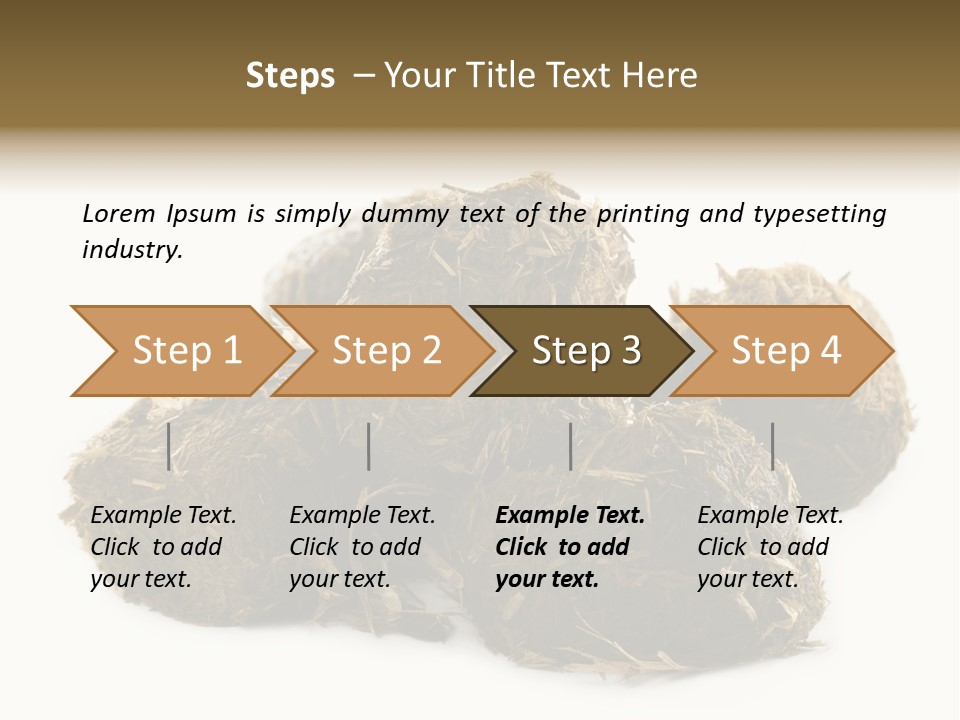 Safe Pack Architecture PowerPoint Template