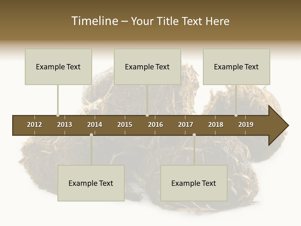 Safe Pack Architecture PowerPoint Template