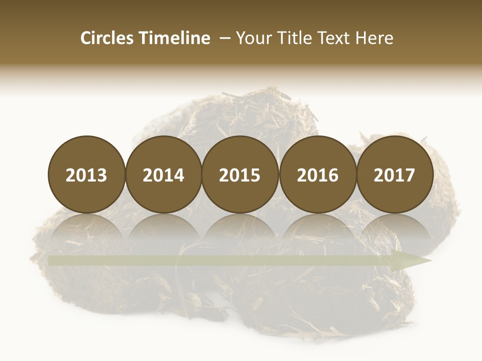 Safe Pack Architecture PowerPoint Template