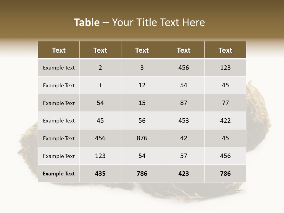 Safe Pack Architecture PowerPoint Template