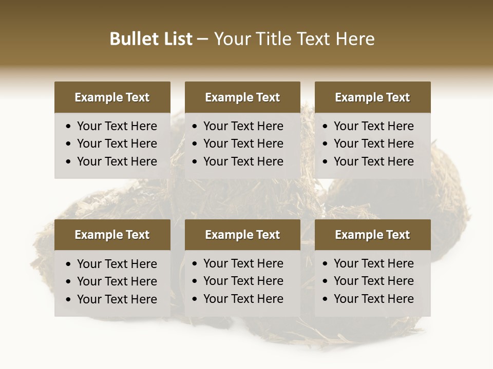 Safe Pack Architecture PowerPoint Template