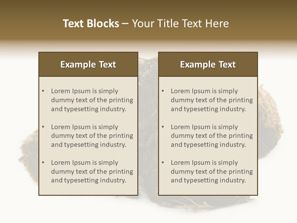 Safe Pack Architecture PowerPoint Template