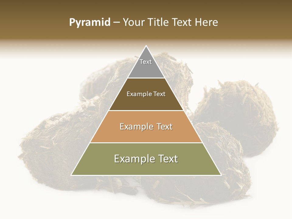 Safe Pack Architecture PowerPoint Template