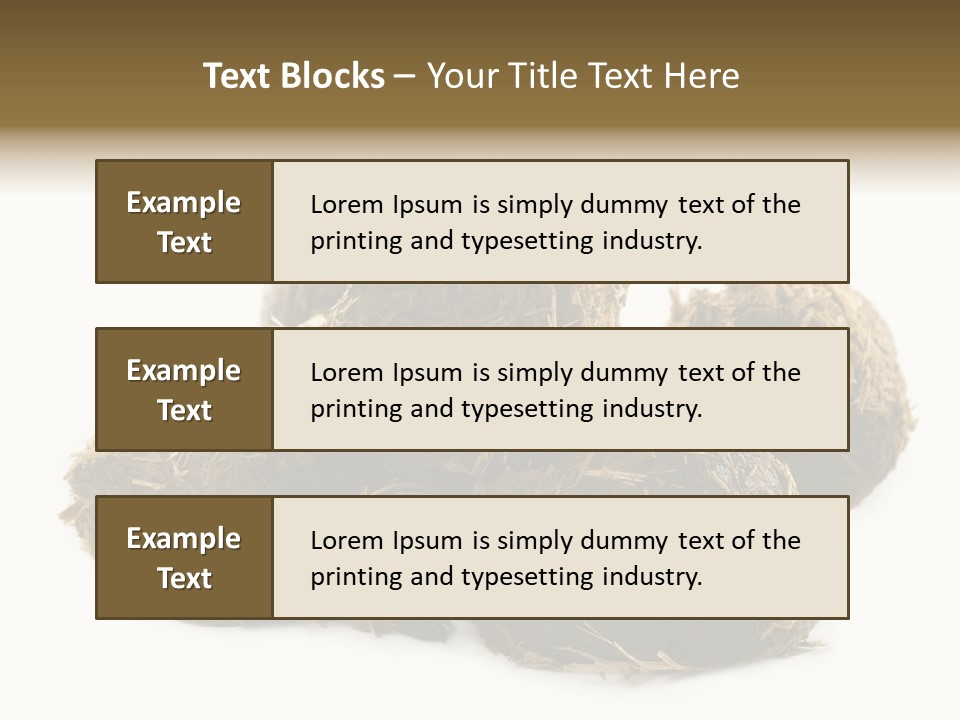 Safe Pack Architecture PowerPoint Template