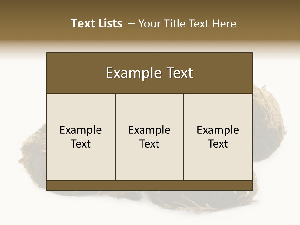 Safe Pack Architecture PowerPoint Template