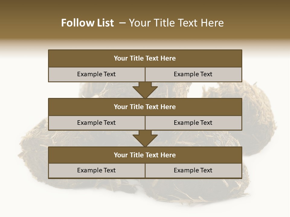 Safe Pack Architecture PowerPoint Template