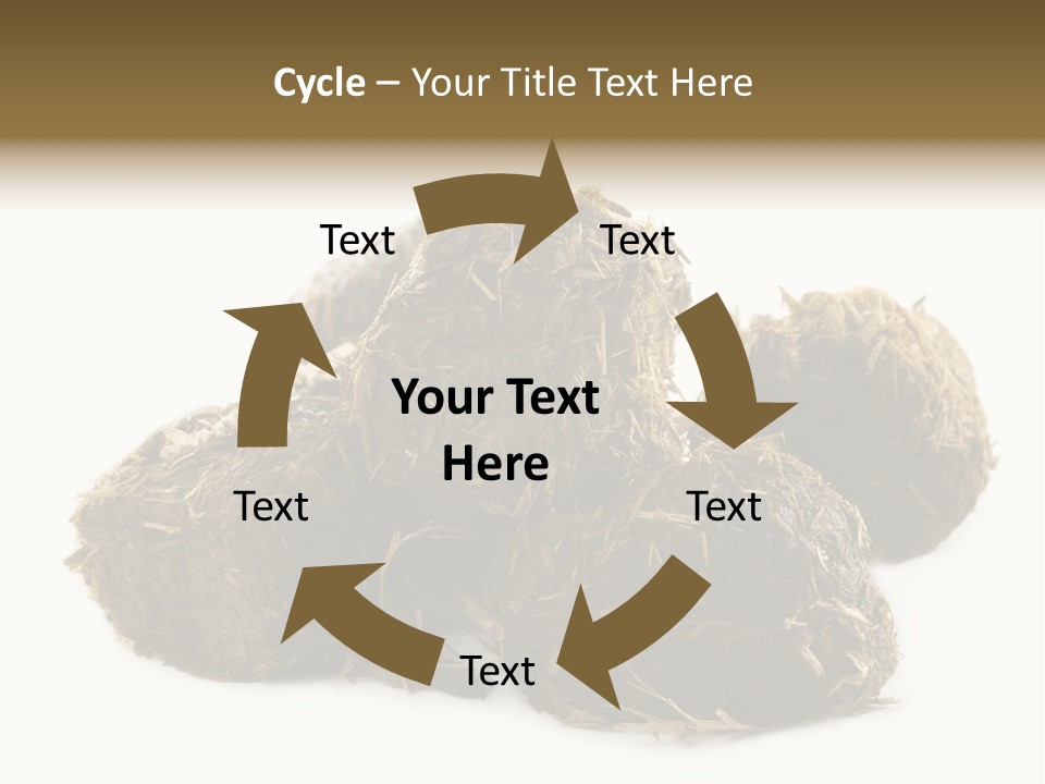Safe Pack Architecture PowerPoint Template