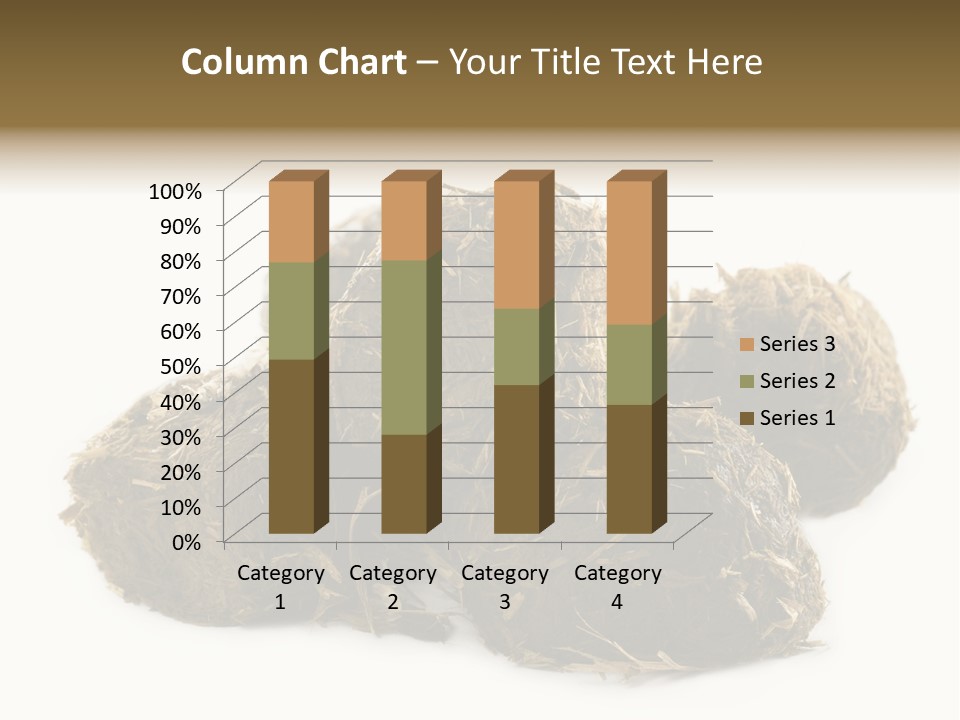 Safe Pack Architecture PowerPoint Template