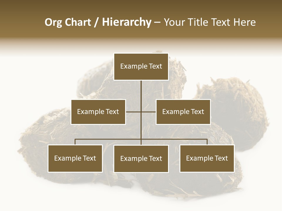 Safe Pack Architecture PowerPoint Template