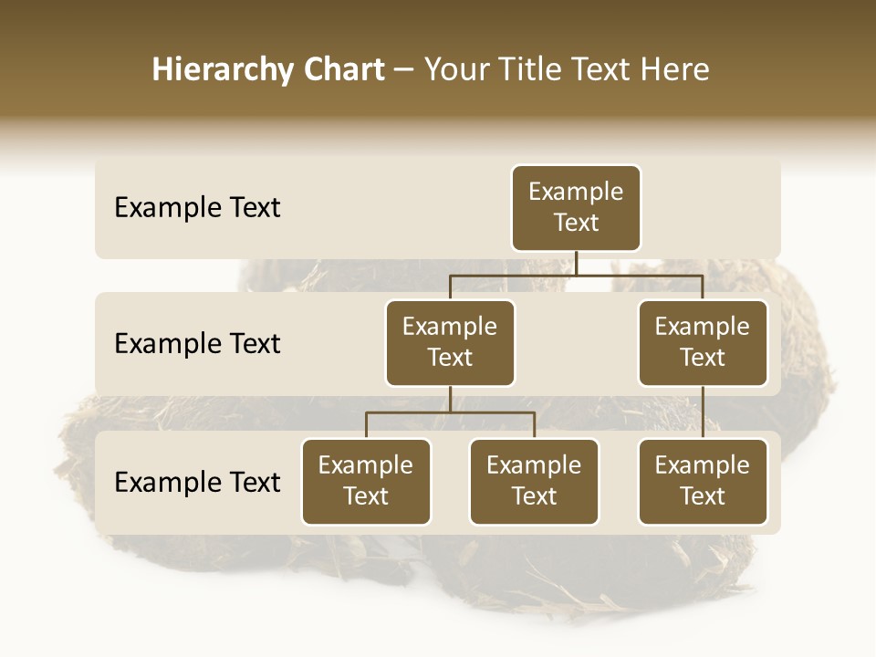 Safe Pack Architecture PowerPoint Template