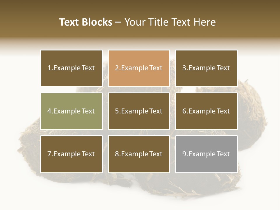 Safe Pack Architecture PowerPoint Template
