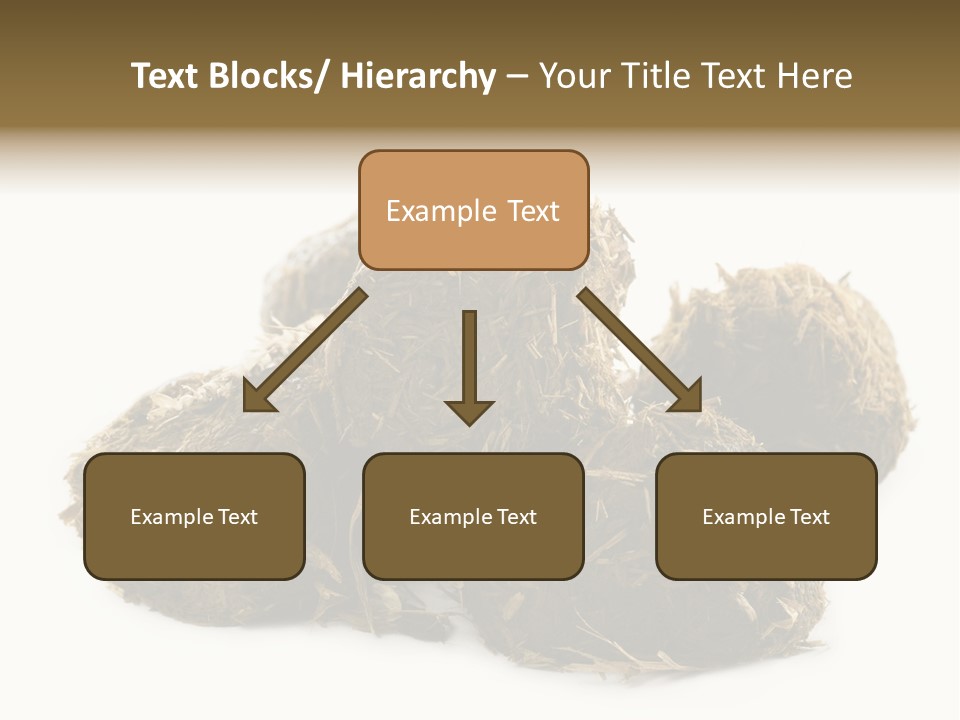 Safe Pack Architecture PowerPoint Template