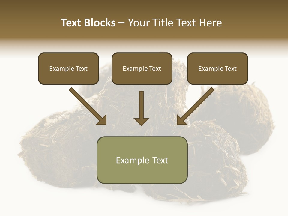 Safe Pack Architecture PowerPoint Template