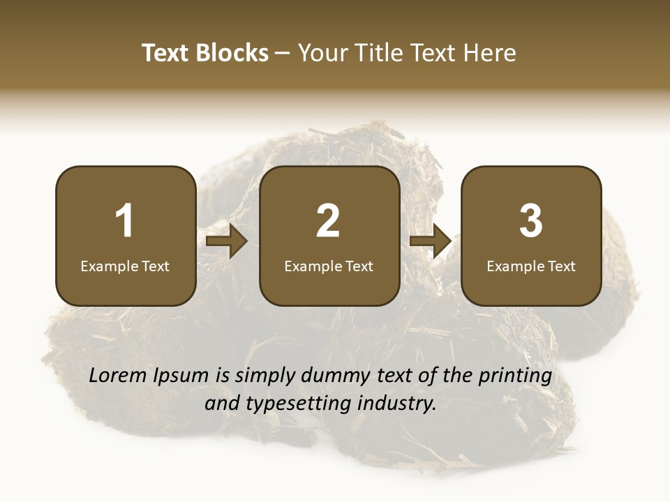 Safe Pack Architecture PowerPoint Template
