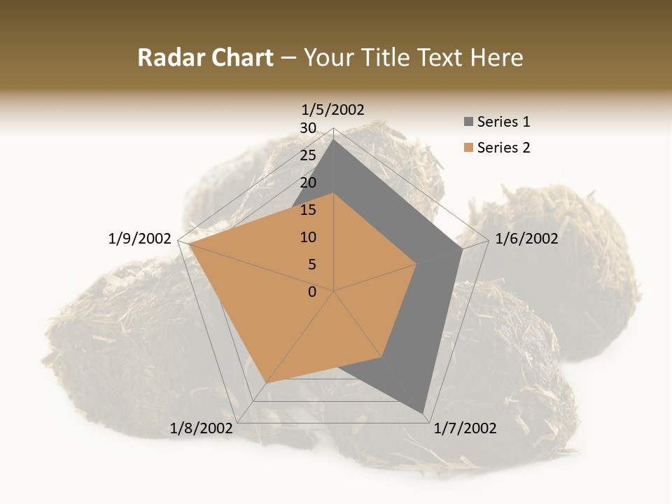 Safe Pack Architecture PowerPoint Template