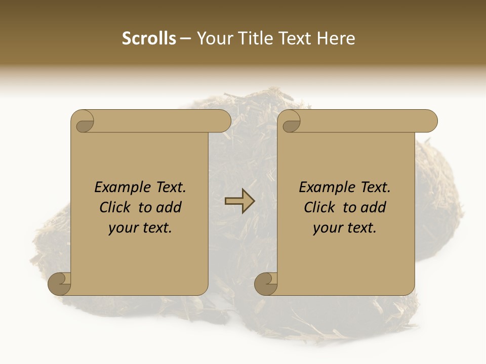 Safe Pack Architecture PowerPoint Template