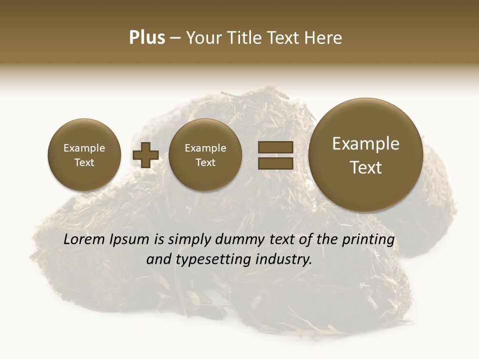 Safe Pack Architecture PowerPoint Template