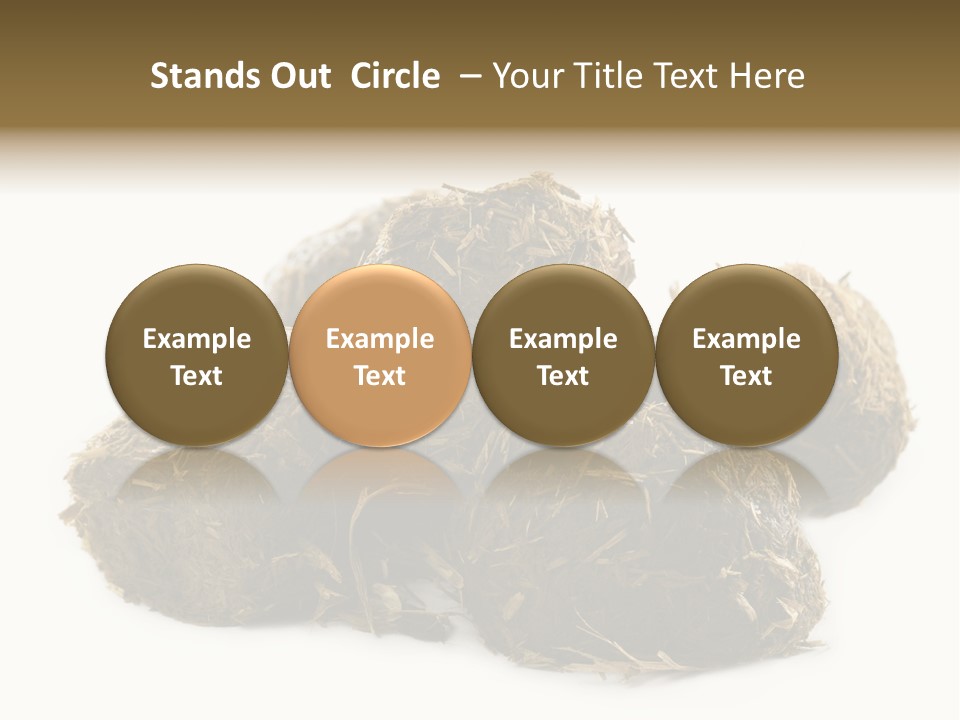 Safe Pack Architecture PowerPoint Template