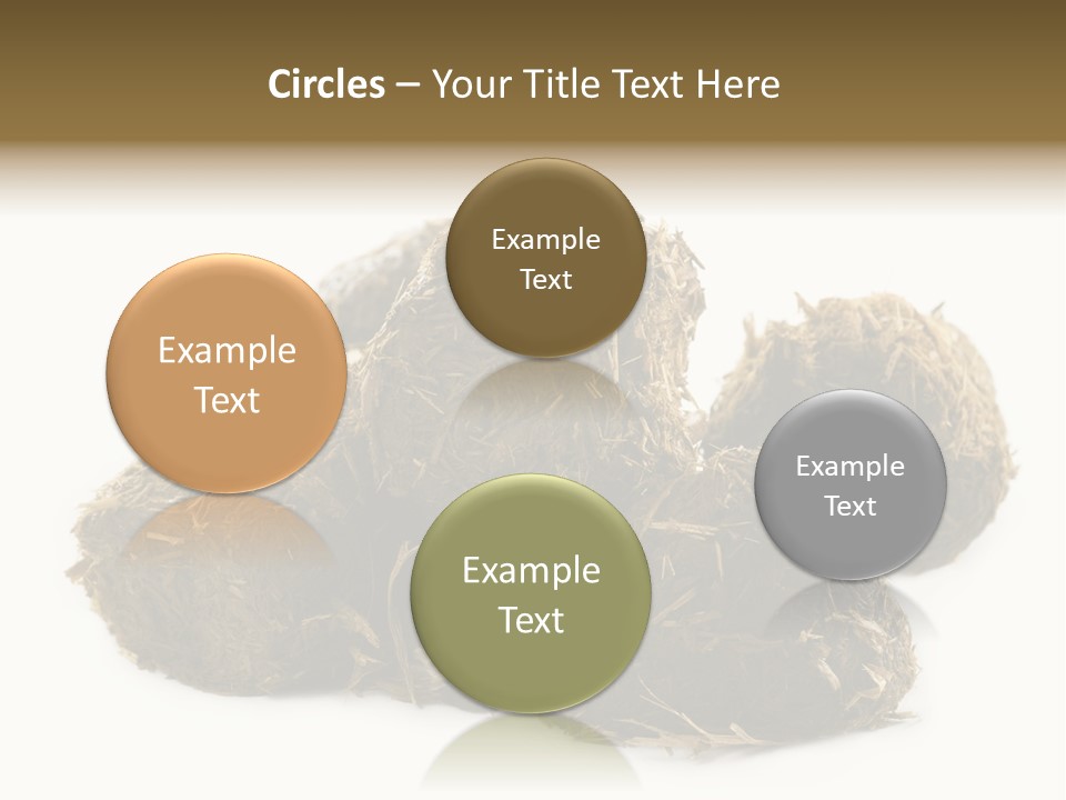 Safe Pack Architecture PowerPoint Template