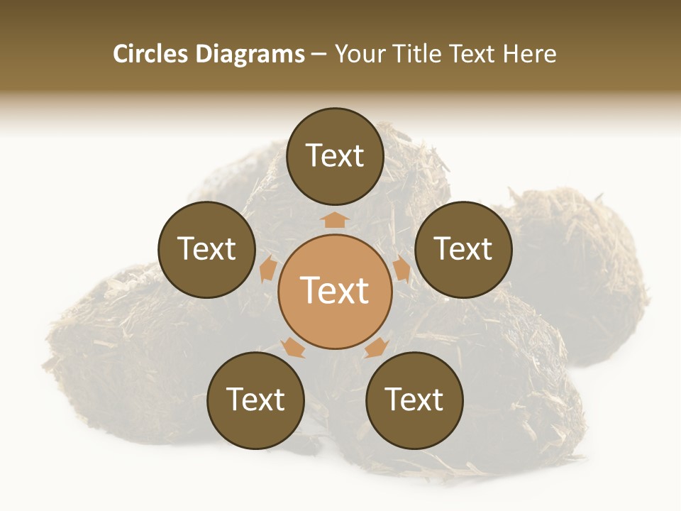 Safe Pack Architecture PowerPoint Template