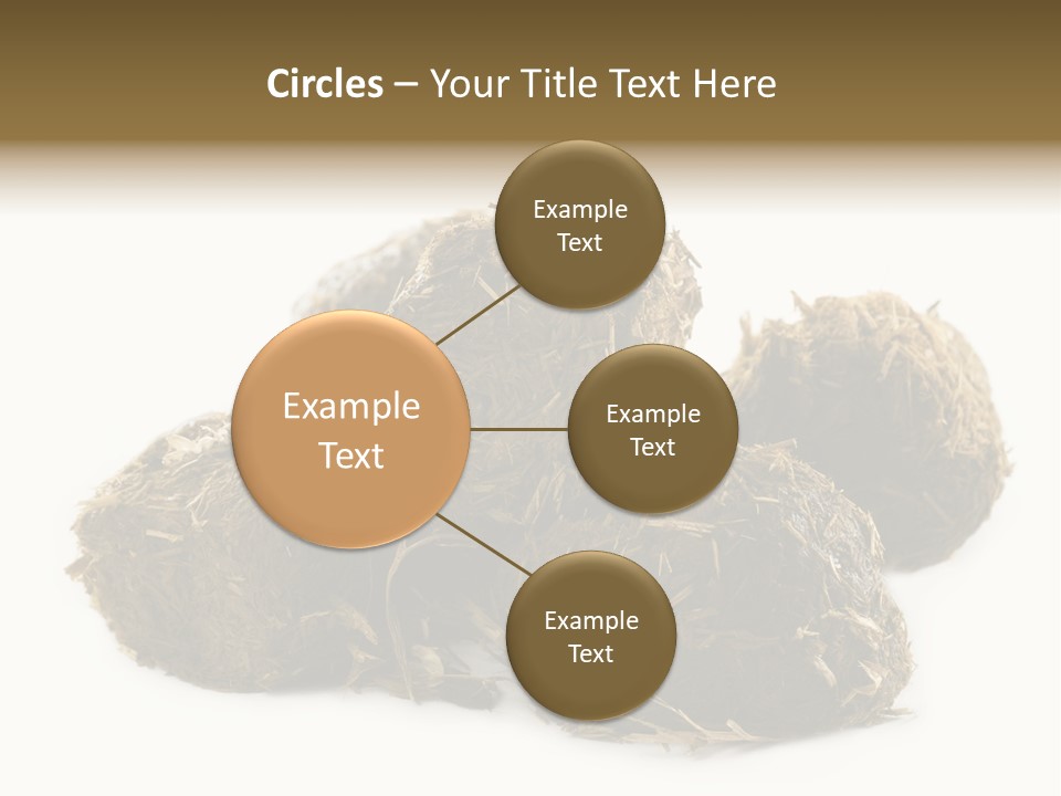 Safe Pack Architecture PowerPoint Template