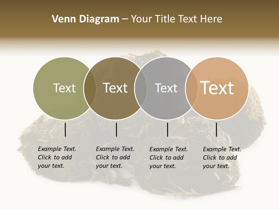 Safe Pack Architecture PowerPoint Template