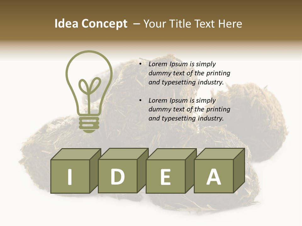 Safe Pack Architecture PowerPoint Template