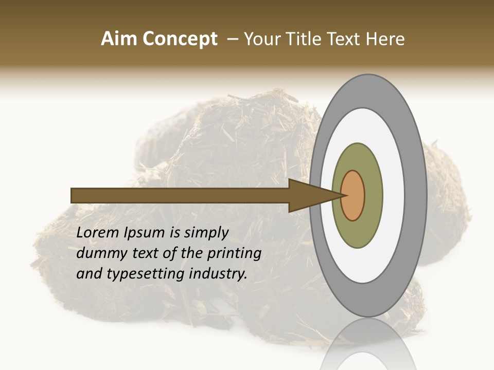 Safe Pack Architecture PowerPoint Template