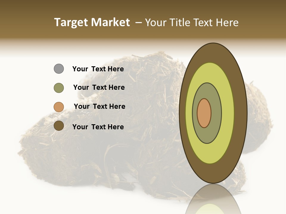 Safe Pack Architecture PowerPoint Template