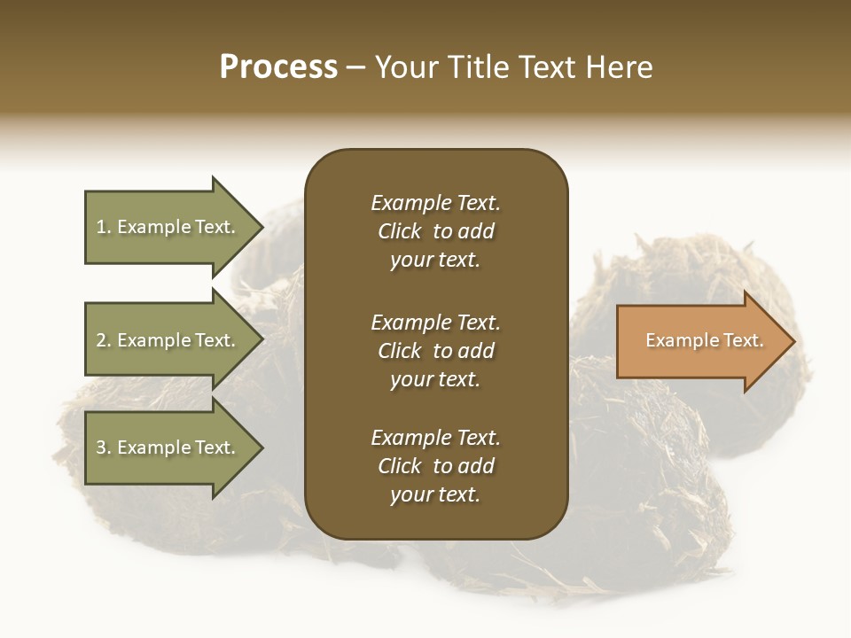 Safe Pack Architecture PowerPoint Template