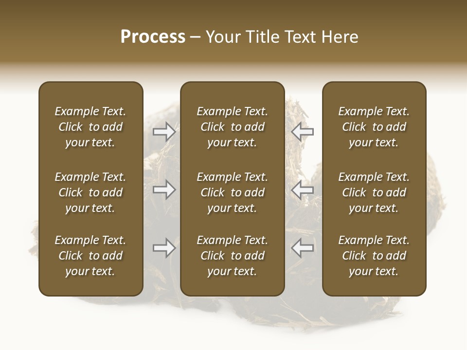 Safe Pack Architecture PowerPoint Template