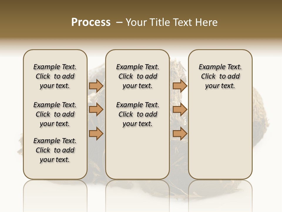 Safe Pack Architecture PowerPoint Template