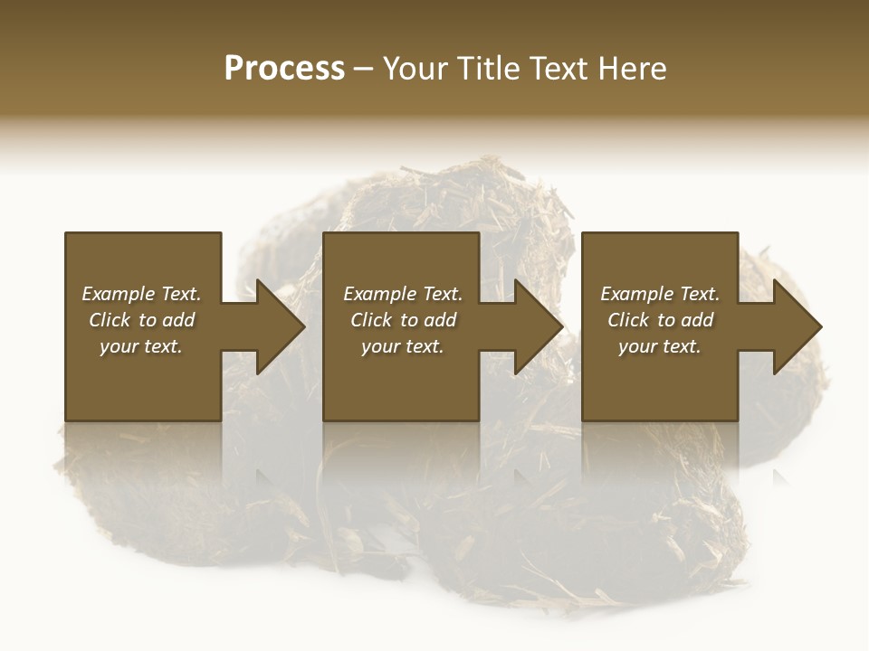 Safe Pack Architecture PowerPoint Template