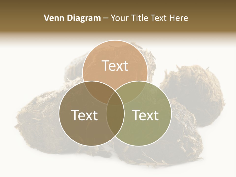 Safe Pack Architecture PowerPoint Template