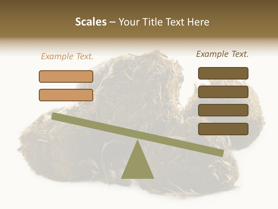 Safe Pack Architecture PowerPoint Template