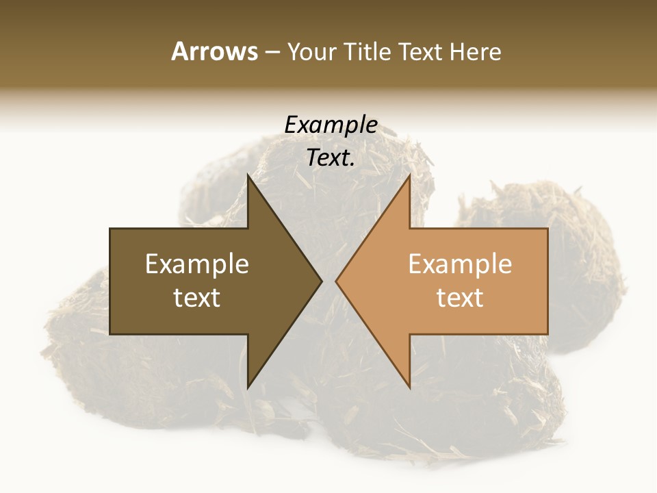 Safe Pack Architecture PowerPoint Template