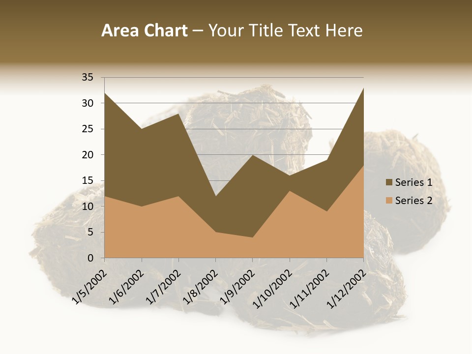 Safe Pack Architecture PowerPoint Template