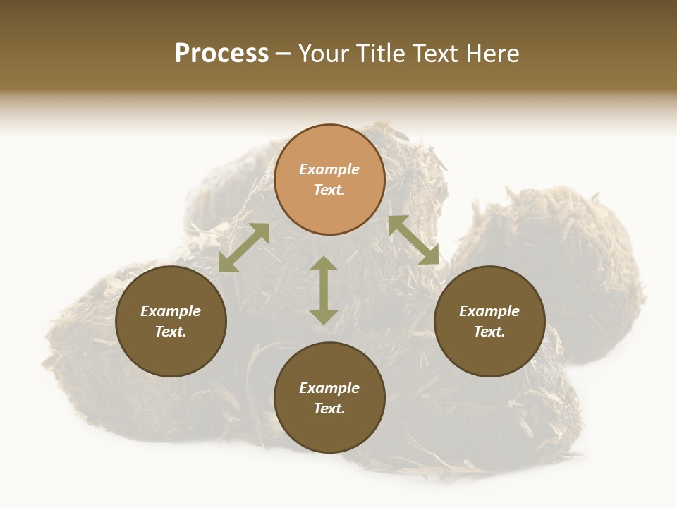 Safe Pack Architecture PowerPoint Template
