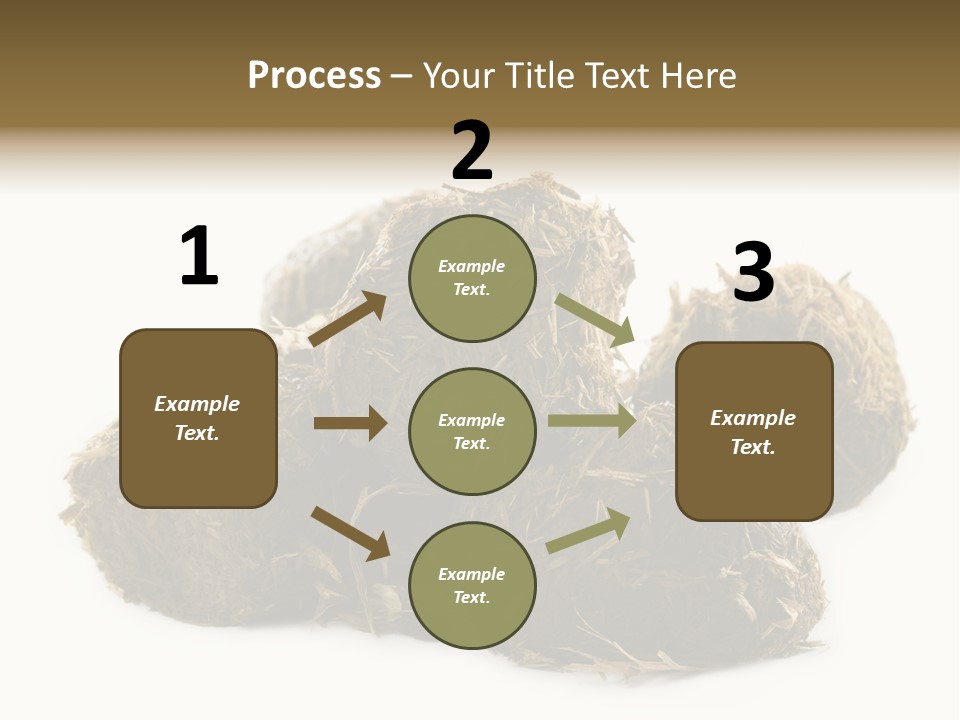 Safe Pack Architecture PowerPoint Template