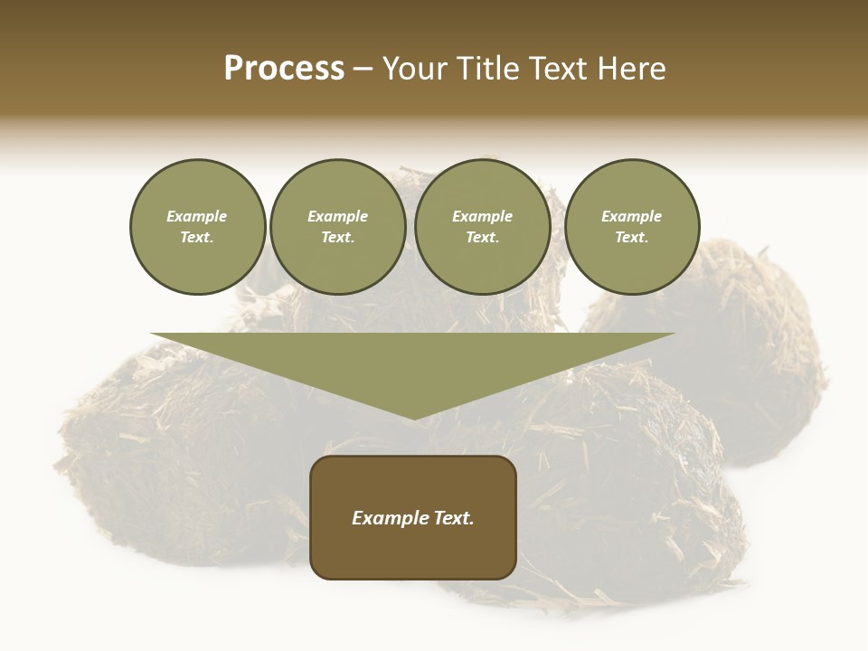 Safe Pack Architecture PowerPoint Template